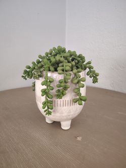 Decor