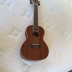 Ukulele 