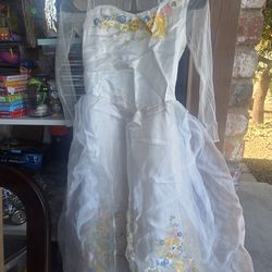Cinderella Dress