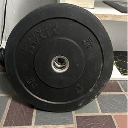Both 15lb Titan Fitness Weight plates