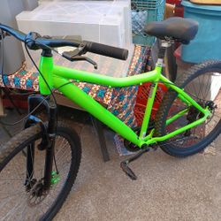 Mountain Bike
