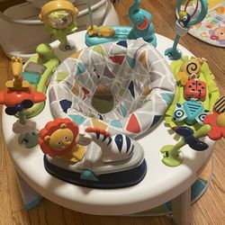 Fisher Price 3-in-1 Activity Center
