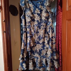 2 dresses  XL 