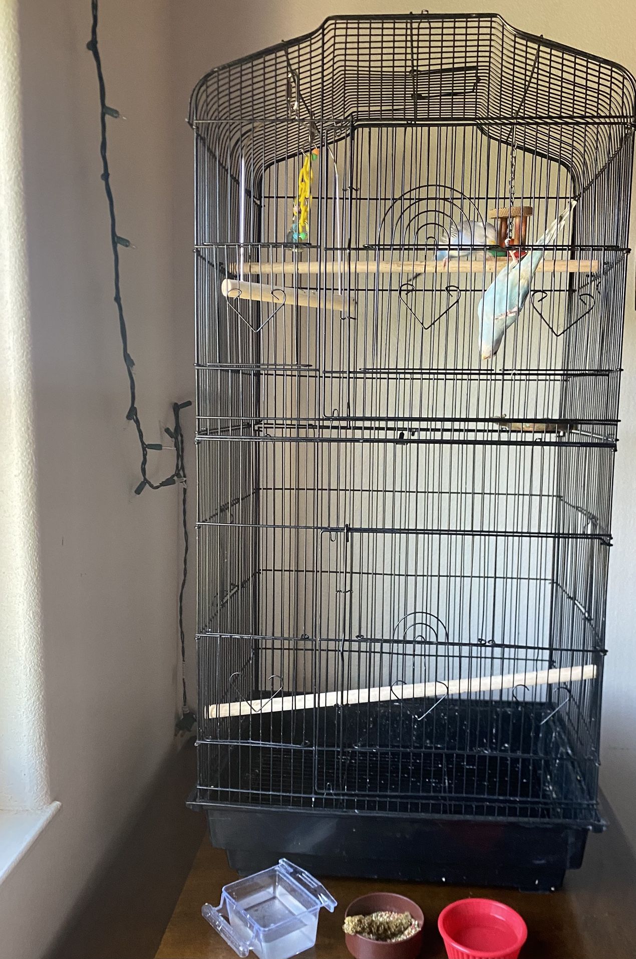 Bird Cage
