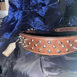 Leather Dog Collar Spiked 