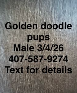 GDM 3/4/26