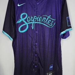 Arizona Diamondback Jersey 