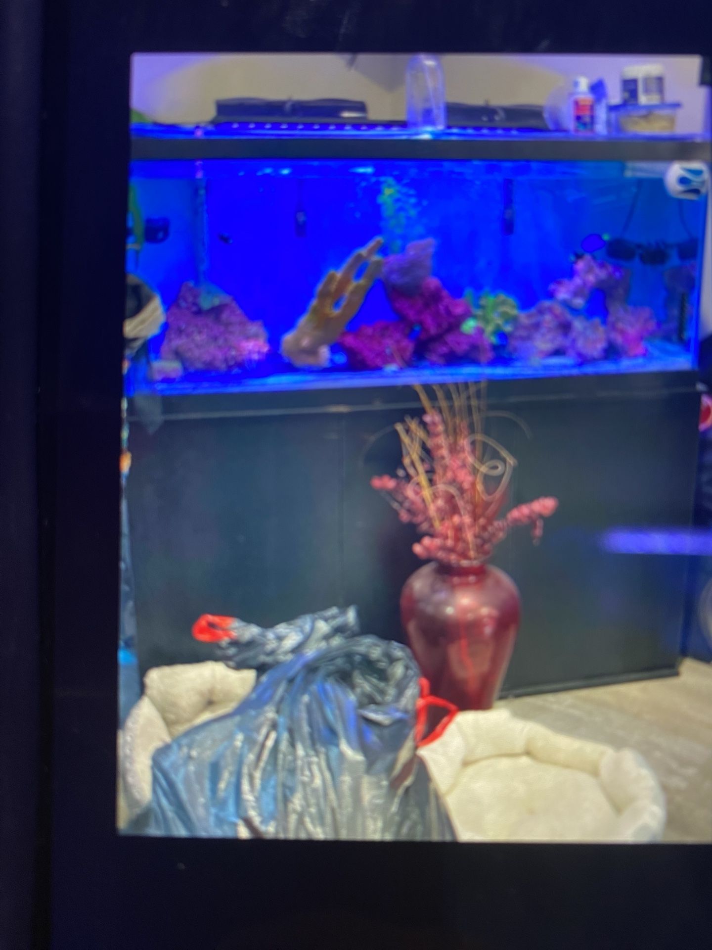 75 Gal From Fish Tank