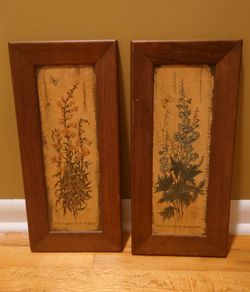 Vintage 1970 Three Mountaineers Botanical Framed Prints