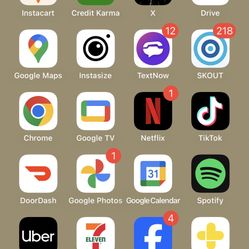 iPhone 12 TikTok App Installed