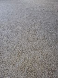 Brand New 20 ounce carpet. Cheap! Client didn't like color