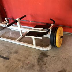 cybex t bar row machine