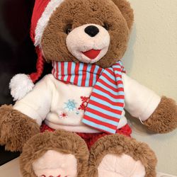 Teddy Bear With a Scarf