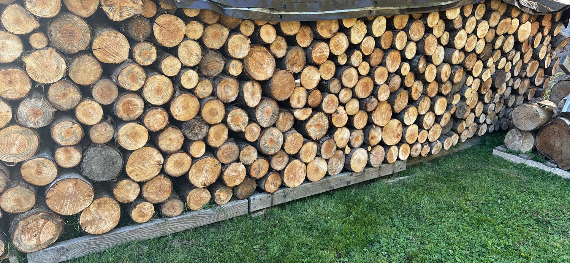 Firewood