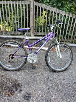 Mountain Bike