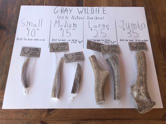 Elk Antler Dog Chews