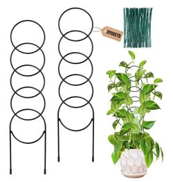 Plant trellis