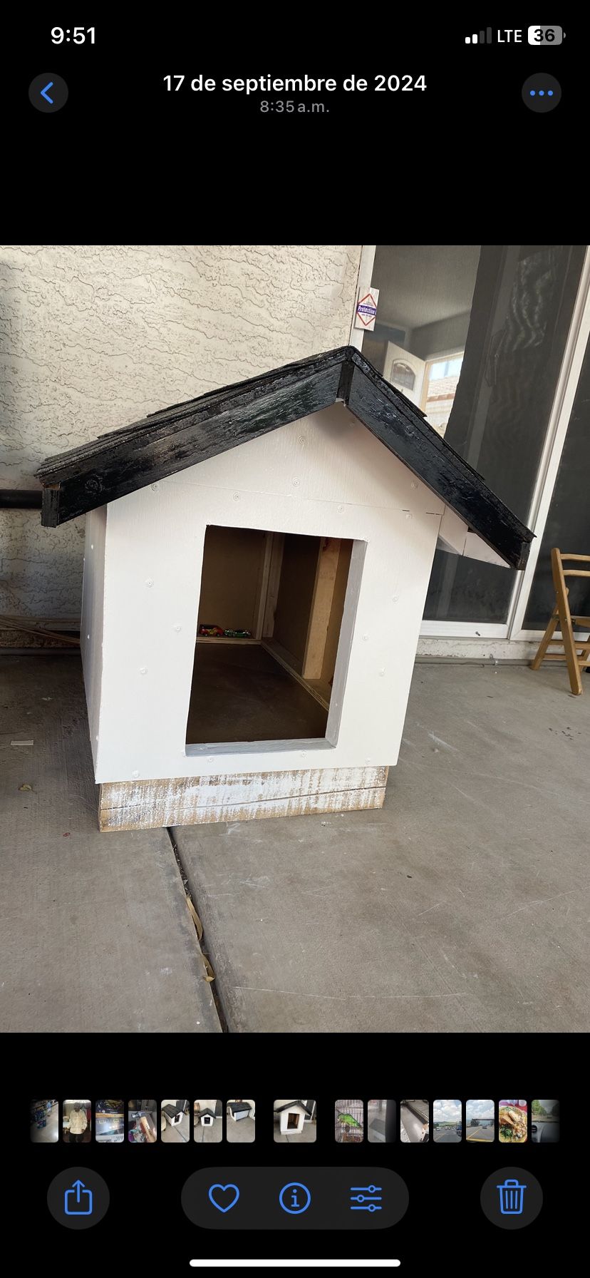 Dog House