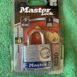 Master Locks (2) & Ace Hardware (1) - New