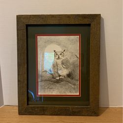 Great Horned Owl, Pencil Sketch 16/200 numbered and Signed D.F. Higgason, 13 1/2” X 16 1/2” B26
