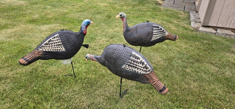 TURKEY Decoys / Tap To Enlarge Photo