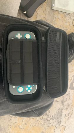 Nintendo Lite
