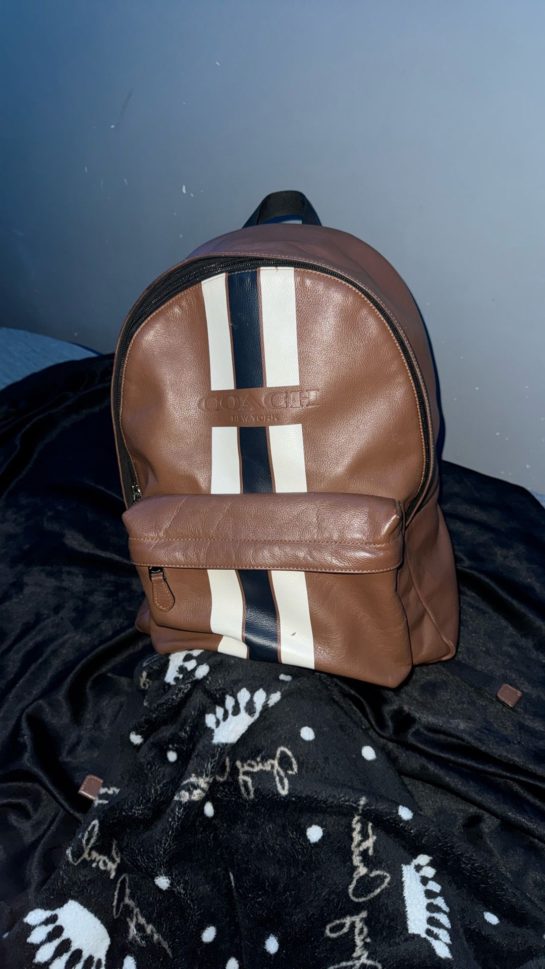 Coach Backpack (Used)