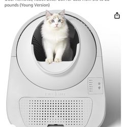 Cat Litter Box Young