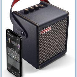 New Spark Positive Grid Mini Bluetooth Amplifier 