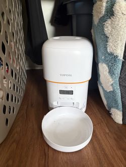 Cat feeder