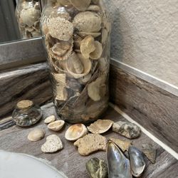 Shells Take All In A Glass Pickle Jar 