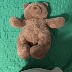 Teddy Bear 