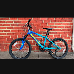 Nishiki® Boys' Pueblo 20 in. Mountain Bike