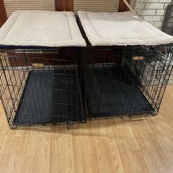 Large Dog Crate With Bedding