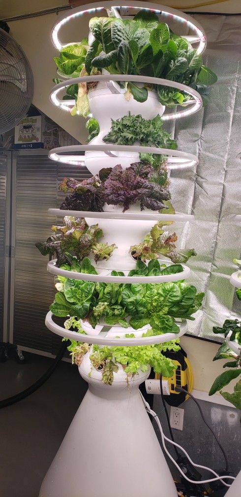 Lettuce Grow Farmstand Hydroponic Growing System 