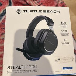 Turtle Beach