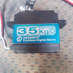 Ds Servo 