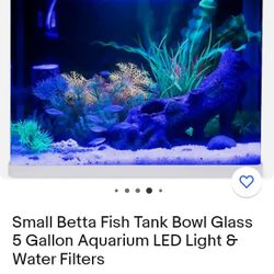 Selling A Small Betta Fish Tank Bowl Glass Five Gallon Aquarium LED Light Water Filters 