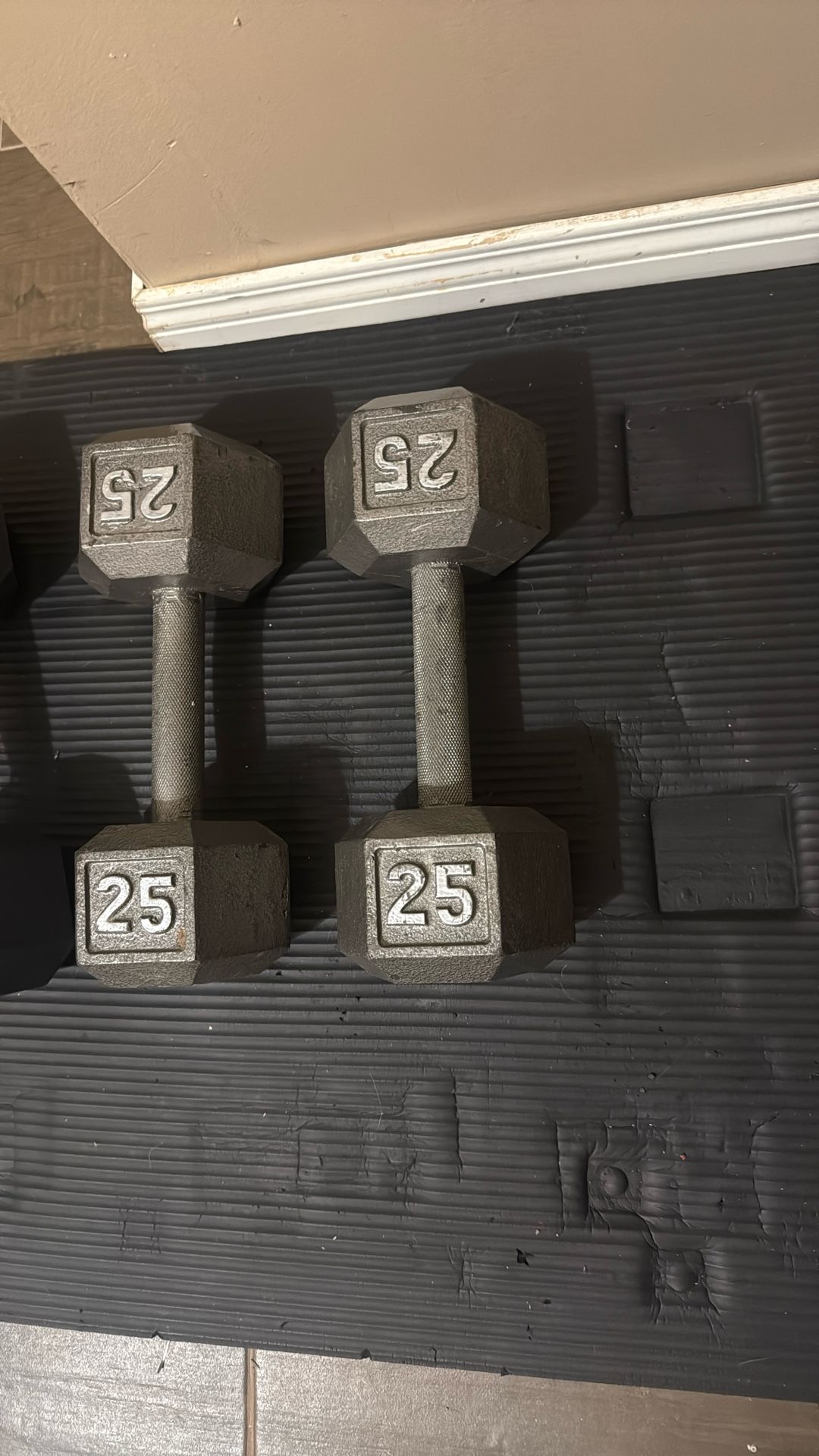 25 Pound Dumbbells