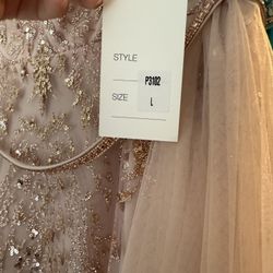 Rose Gold Dress (new)