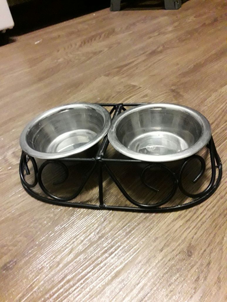 Cute feeding bowls for a small dog