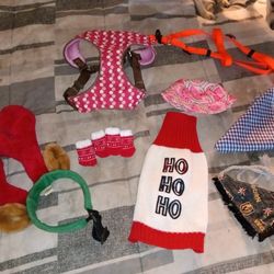 Dog items Sz Small 