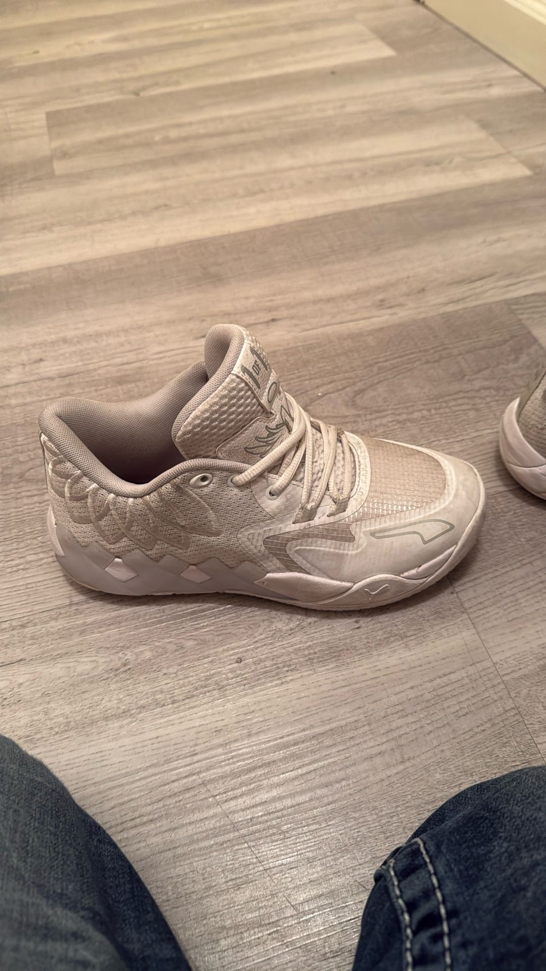 Puma Lemolo’s
