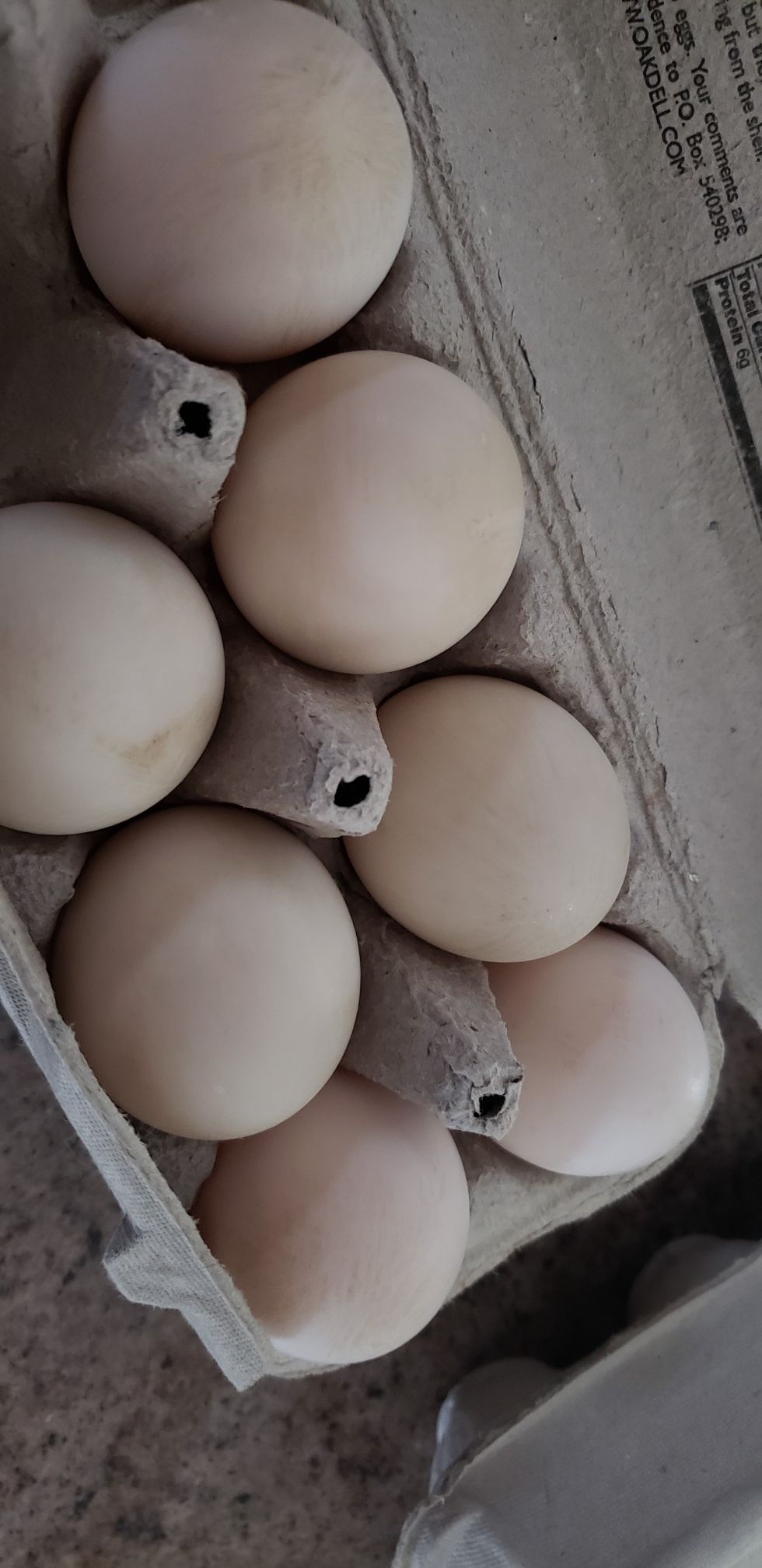 Fresh chicken and duck eggs