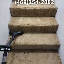 Steam Carpet Shampoo 