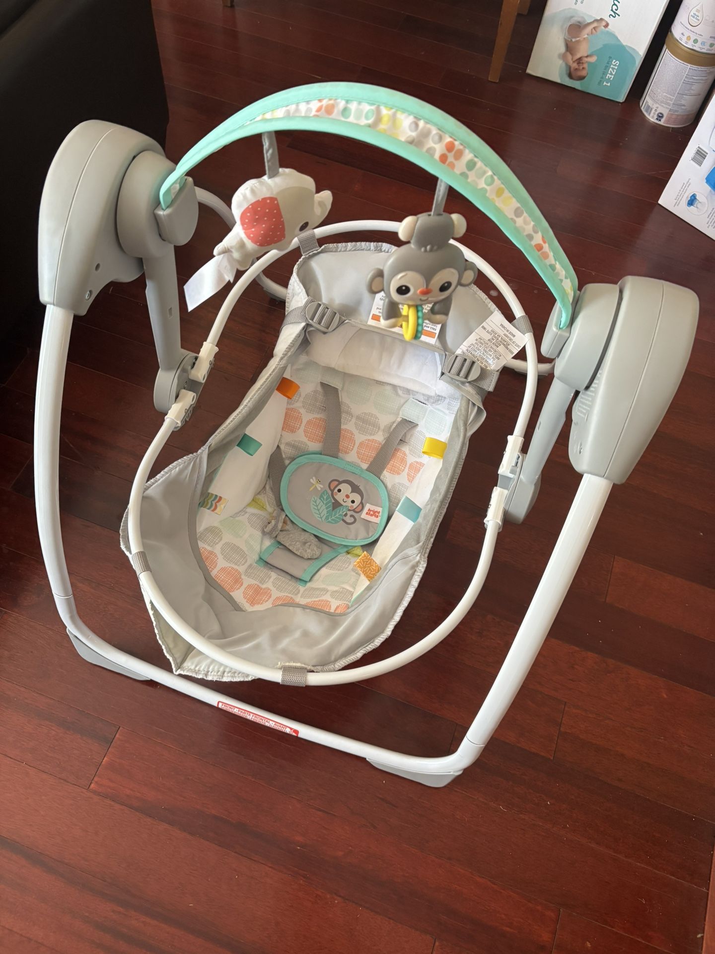 Bright Starts Baby Swing