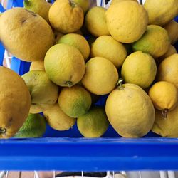 Freshly Picked  Organic Juicy Lemons 6 For $1.00 Only