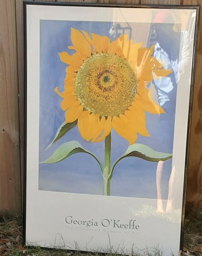 Georgia O'Keeffe Framed Art Poster