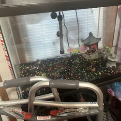 Aquarium 40 Gallons With Stand