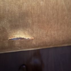 24 East Orange 🍊 Sofa